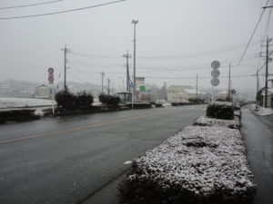 DSC05355